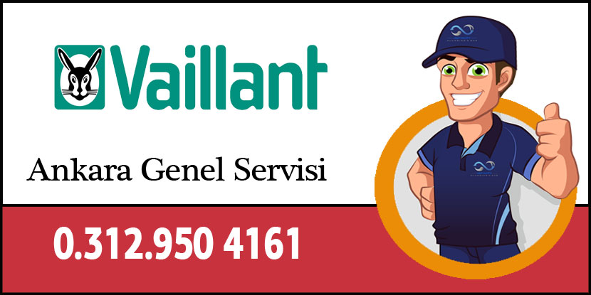 Abidinpaşa Vaillant Servisi